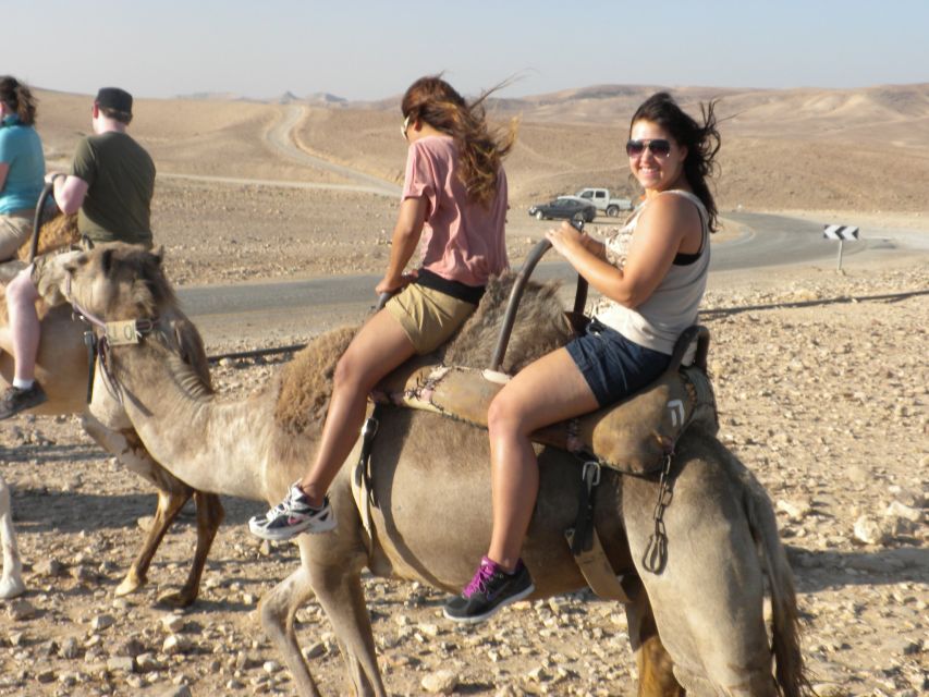 Agadir Camel Ride Flamingo River & BBQ Dinner - Key Points