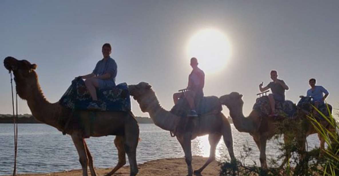 Agadir Camel Ride Flamingo River & Couscous With BBQ Dinner - Key Points