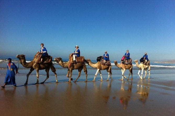 Agadir Camel Ride Flamingo River Sunset With Delicious Couscous & Barbecue - Key Points