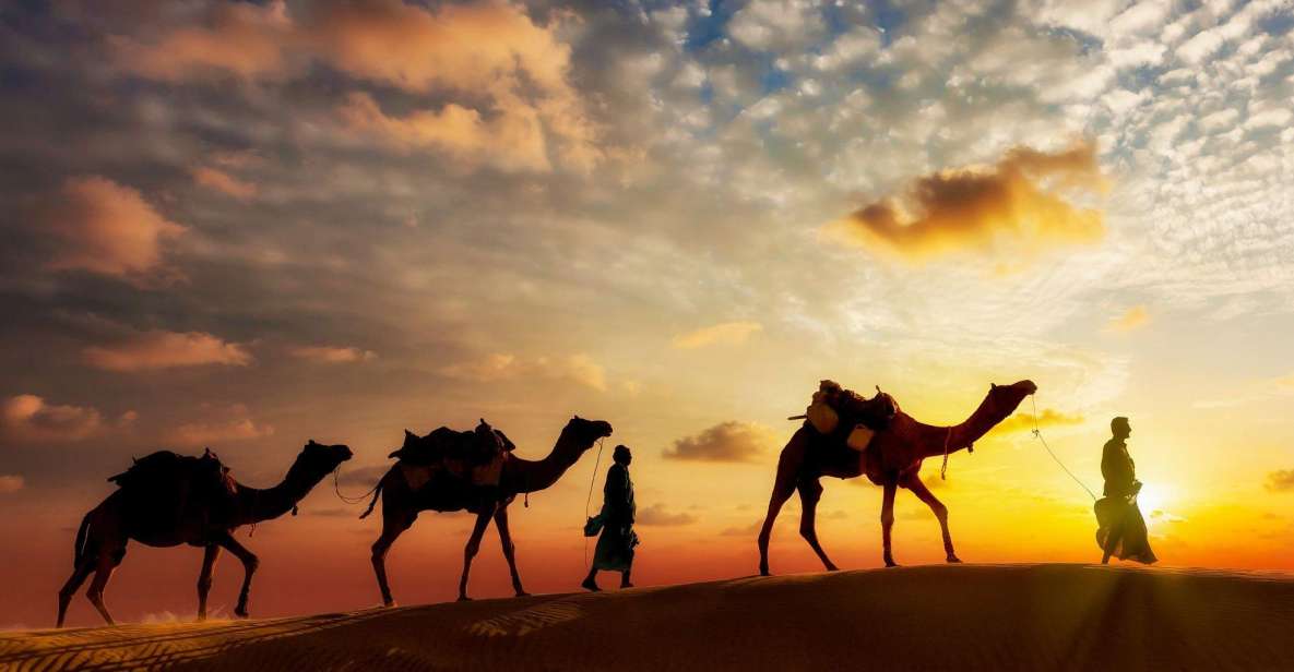 Agadir: Camel Ride Tour With Tea and Dinner Option - Key Points