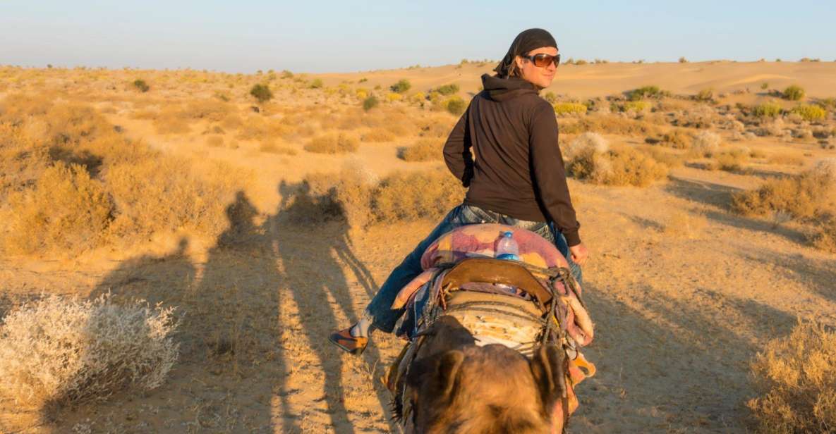 Agadir: Camel Ride With Tea & BBQ Dinner Option - Key Points
