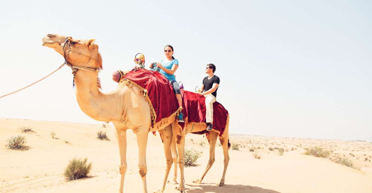 Agadir: Camel Ride With Tea - Key Points