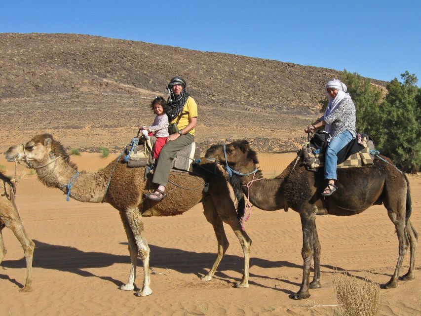 Agadir: Camel Riding Adventure With Authentic Moroccan Lunch - Key Points