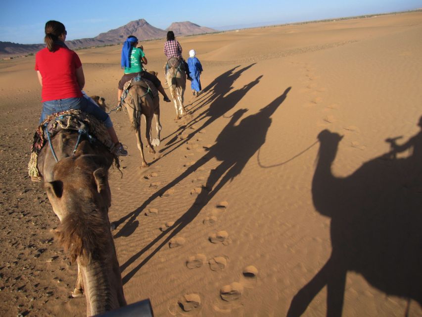 Agadir: Desert Sahara Safari 4x4 Tour With Lunch - Key Points