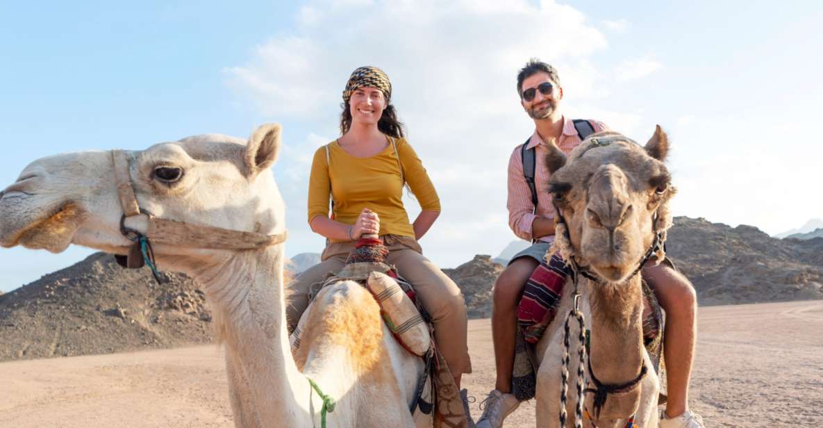 Agadir: Flamingo River Camel Ride With Optional BBQ Dinner - Key Points