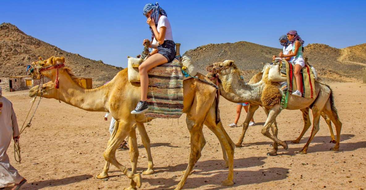 Agadir: Flamingo River Sunset Camel Ride With BBQ Diner - Full Experience Description