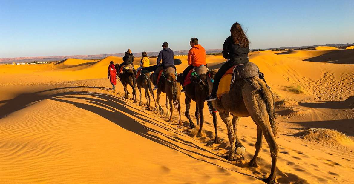 Agadir or Taghazout: 2-Day Zagora Desert Guided Tour - Key Points