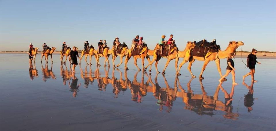 Agadir or Taghazout : Camel or Hourse Riding With Barbecue - Activity Details