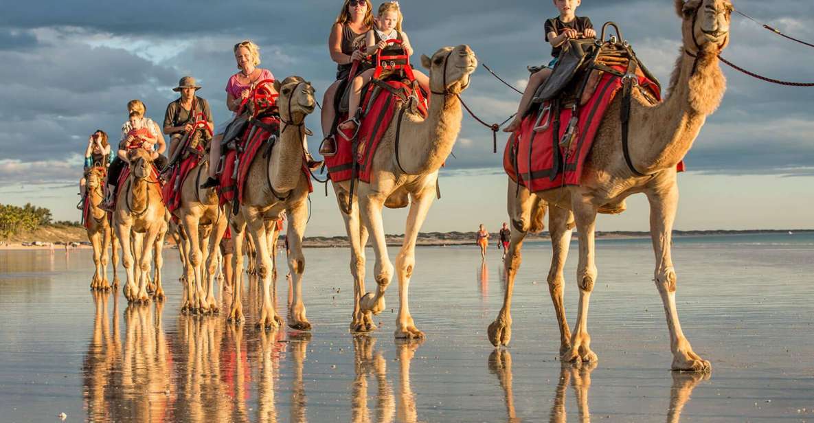 Agadir or Taghazout: Camel Ride Experience in River or Beach - Key Points