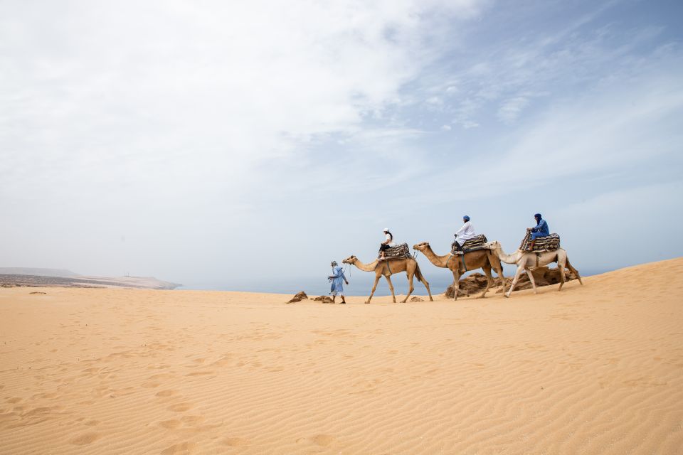 Agadir or Taghazout : Camel Ride in Desert Sand Dunes - Key Points