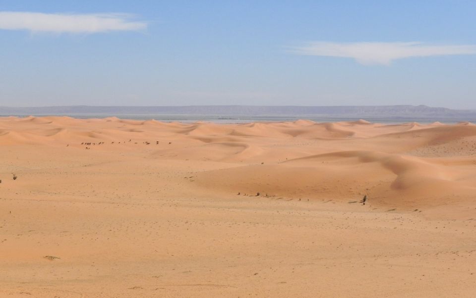 Agadir or Taghazout : Desert Sahara Sand Dunes With Transfer - Key Points