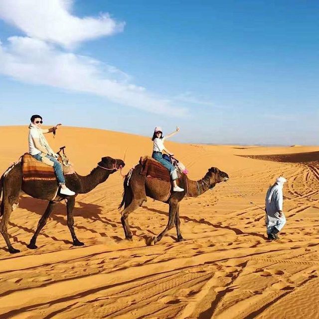 Agadir: Private Guided Day Trip to Ouarzazate With Lunch - Key Points