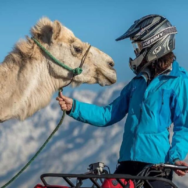 Agadir Quad Bike & Camel Riding With Snacks - Key Points