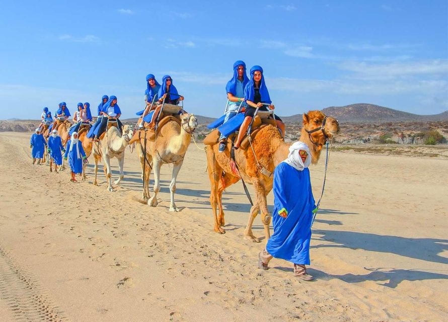 Agadir Sahara Desert Trip With Lunch And Camel Trek - Key Points