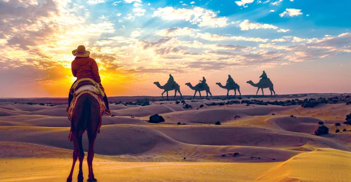 Agadir: Sunset Camel Ride, Flamingo River Tour & Drink - Key Points