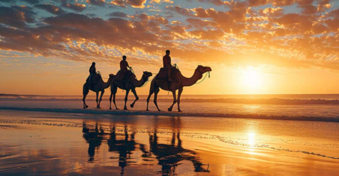 Agadir/Taghazout: Camel Ride on the Beach - Key Points