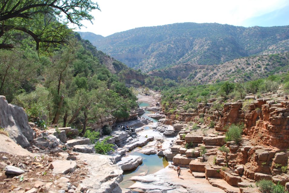 Agadir/Taghazout/Tamraght: Paradise Valley Swimming Tour - Key Points