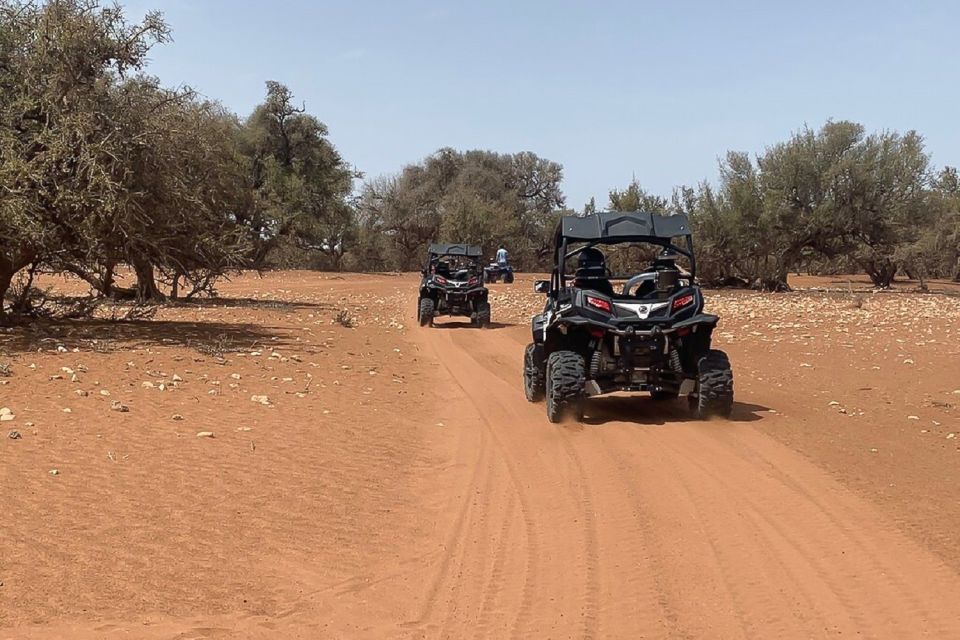 Agadir:Half-Day Desert Dunes Buggy Safari - Key Points