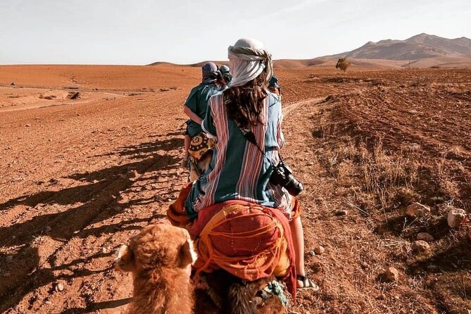 Agafay Desert-And Atlas Mountains & Camel-Trek-Day Trip From Marrakech - Key Points