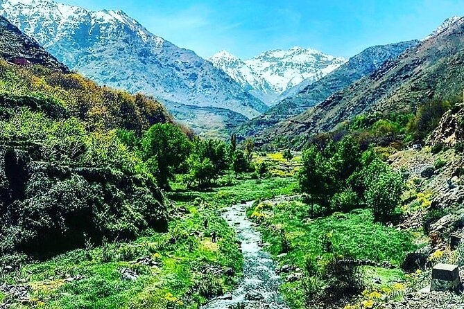 Agafay Desert and Atlas Mountains Day Trip From Marrakech With Camel Ride - Meeting Point and Pickup Details