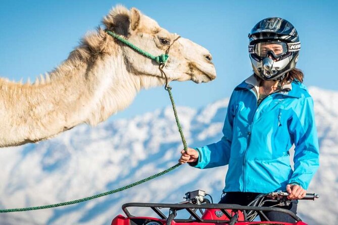 Agafay Desert Camel Ride & Quad Bike - Key Points