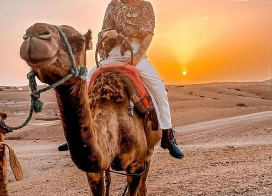 Agafay Desert Camel Ride & Sunset & Dinner - Activity Details