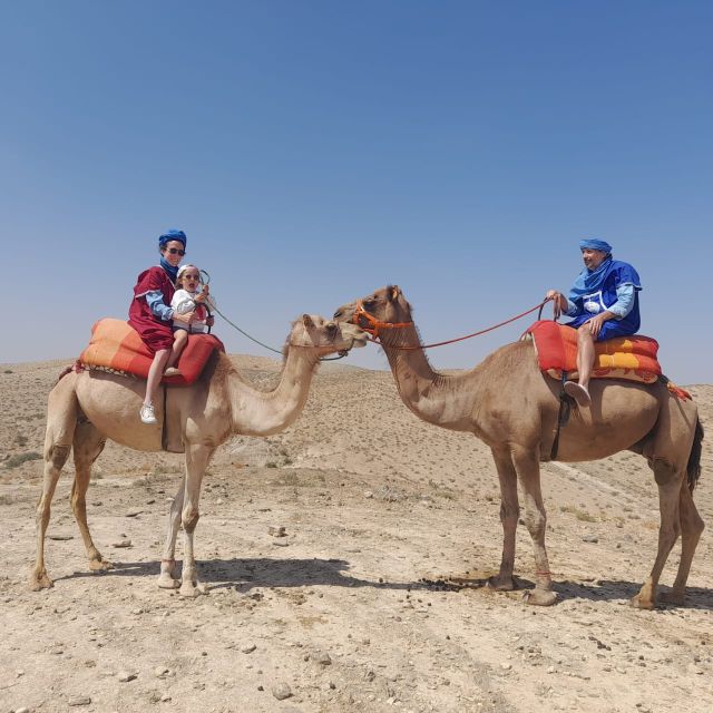 Agafay Desert Camel Ride With Berber Dinner From Marrakech - Key Points
