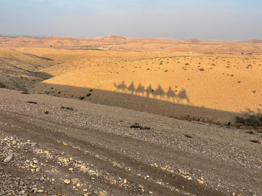 Agafay Desert Package, Quad Bike, Camel Ride and Dinner Show - Key Points