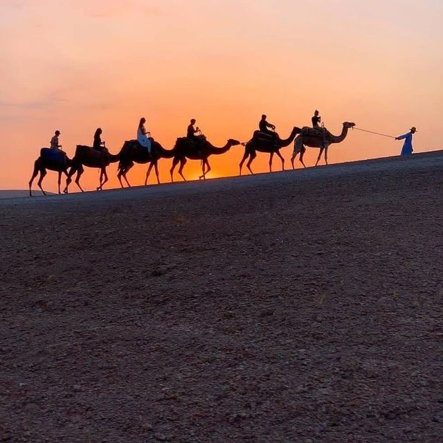 Agafay Desert Sunset Camel Ride With Dinner in Camp - Key Points