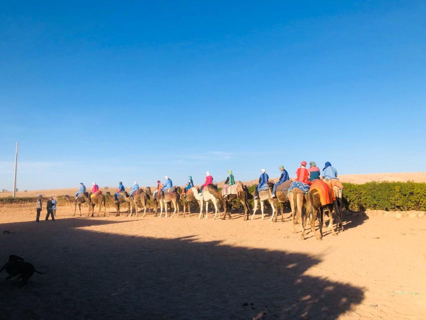 Agafay Desert With Sunset & Camel Ride - Key Points