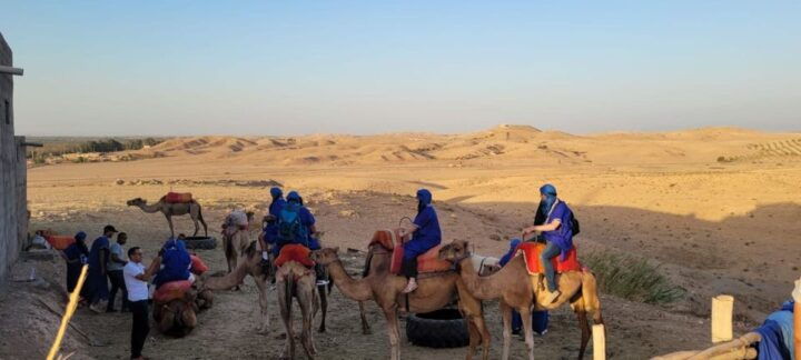 Agafay Guided Camel Riding and Dinner Under Stars - Key Points