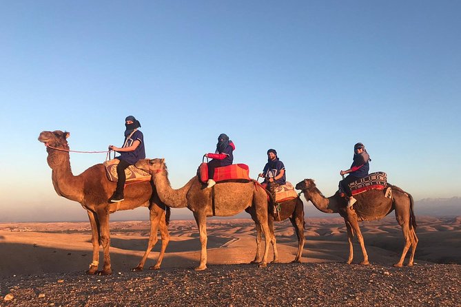 AGAFAY Historical Desert Dinner Sunset Camel Ride Hotel Transfer - Reviews and Ratings