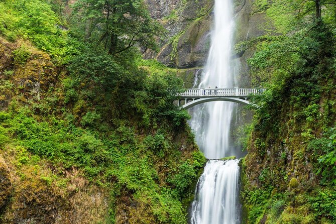 Air Tour of Multnomah Falls & Columbia Gorge From Portland - Key Points
