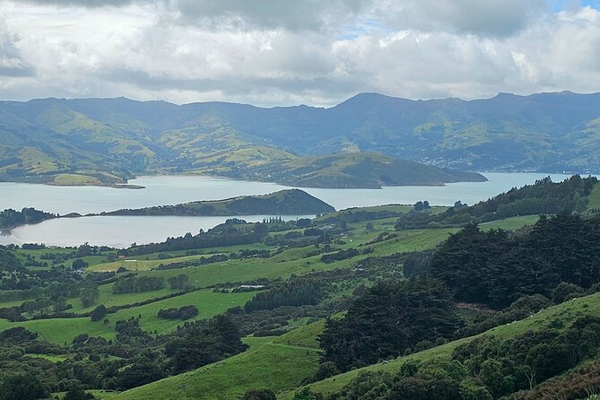 Akaroa Day Tour From Christchurch - Key Points