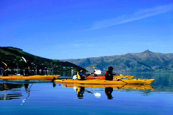 Akaroa Day Trip From Lyttelton Port - Return Shuttle Sea Kayak or Ebike Tour - Key Points