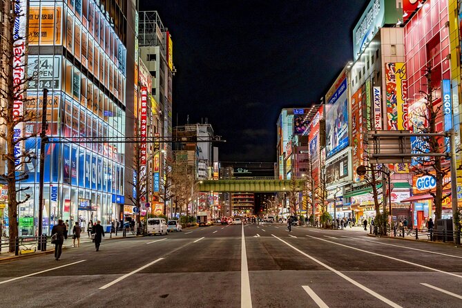 Akihabara Wonderland: Dive Into Tokyos Otaku Universe!" - Key Points