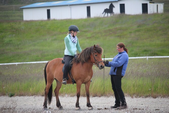 Akureyri 90-Minute Private Icelandic Horse-Riding Lesson - Key Points