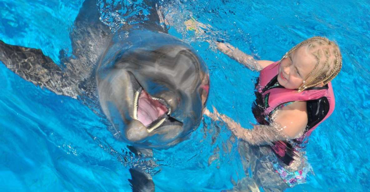 Alanya Dolphin and Seal Show: Magical Adventure - Key Points