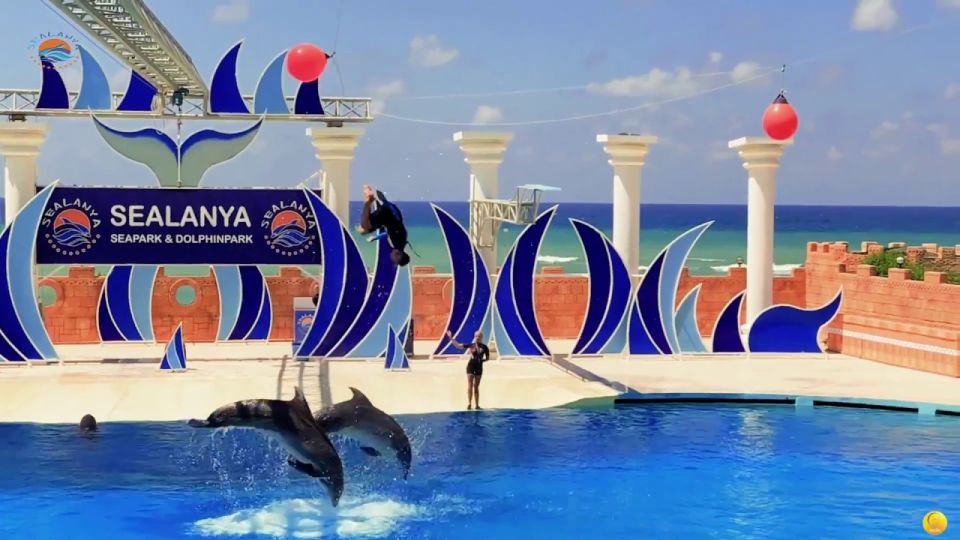 Alanya Dolphin Show Tour - Sealanya Dolphinpark - Key Points