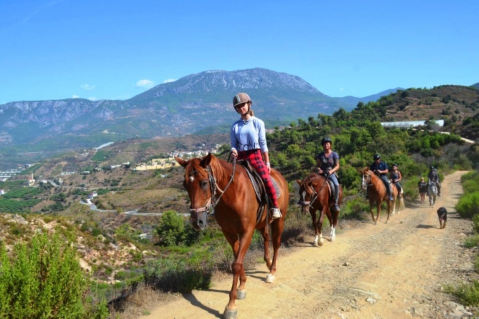 Alanya Horse Riding : Scenic Trails & Coastal Views - Key Points