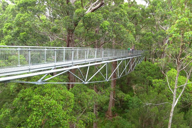 Albany Southwest Wilderness Day Tour - Fly From Perth - Key Points