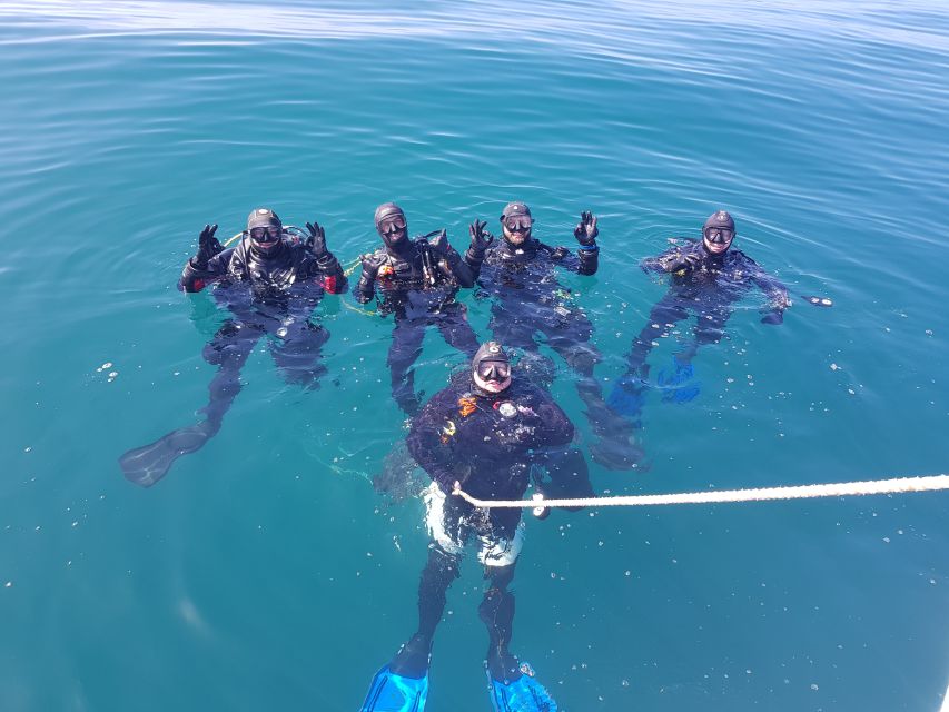 Albufeira: 2 DIVES TRIP (ONLY CERTIFIED DIVERS) - Key Points