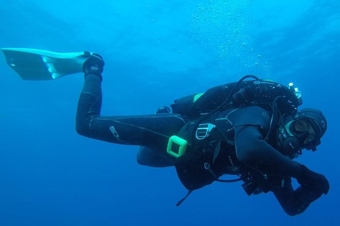Albufeira Two-Dive Trip for Certified Divers - Key Points