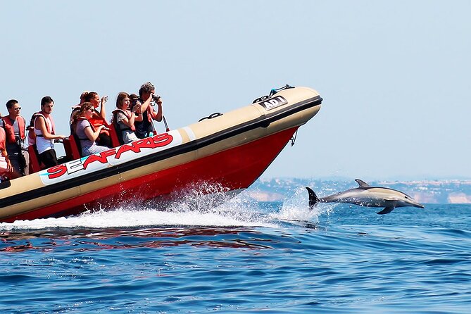 Algarve Dolphin Cruise  – Portimao