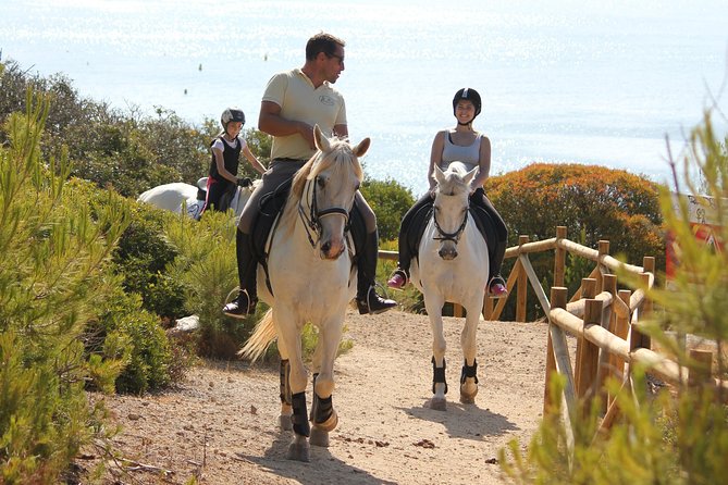 Algarve - Exclusive Horseriding in Portimao (No Experience Required) - Key Points