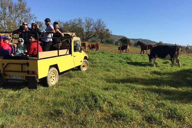 Algarve Jeep Safari - Half Day Trip Morning - Key Points