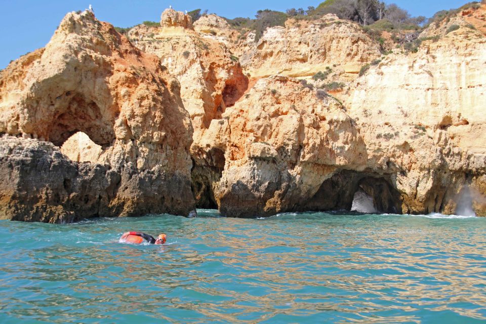 Algarve: Open Water Swimming - Key Points
