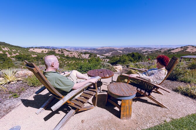 All-Inclusive Full-Day Wine Tasting Tour of Paso Robles - Key Points