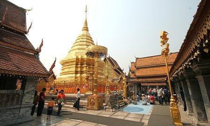 Alms and Wat Phra That Doi Suthep Private Chiang Mai Tour - Key Points