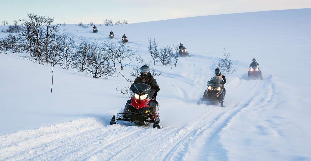 Alta: Guided Snowmobile Safari on Finnmarksvidda With Snacks - Key Points